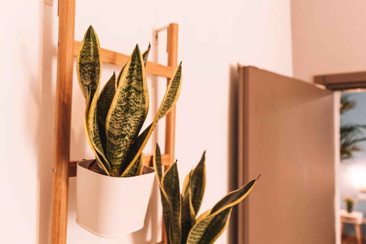 Charmelise Apartment Специя Екстериор снимка
